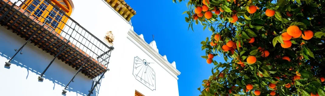 A quick guide to Marbella